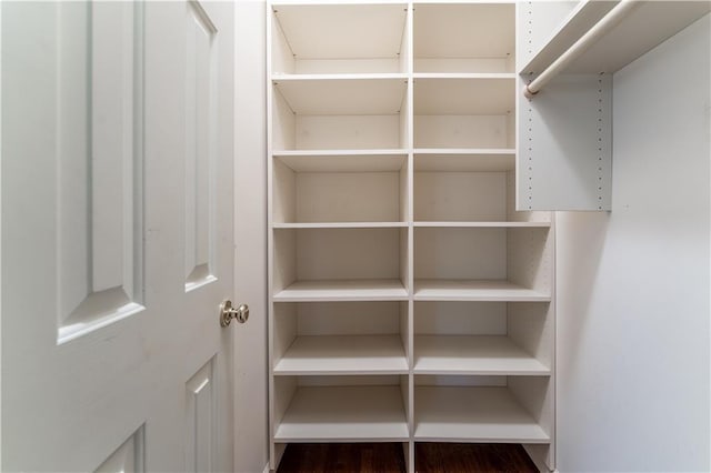 335 Cameron Ridge Dr, Atlanta, GA 30328 - view of spacious closet