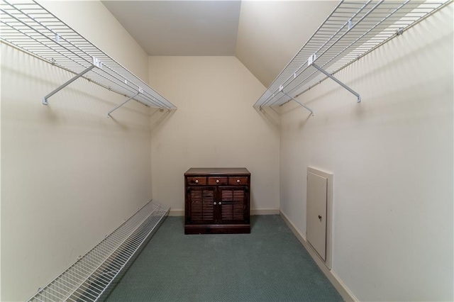 335 Cameron Ridge Dr, Atlanta, GA 30328 - spacious closet with carpet floors