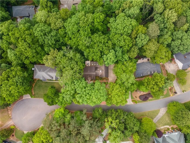 335 Cameron Ridge Dr, Atlanta, GA 30328 - birds eye view of property
