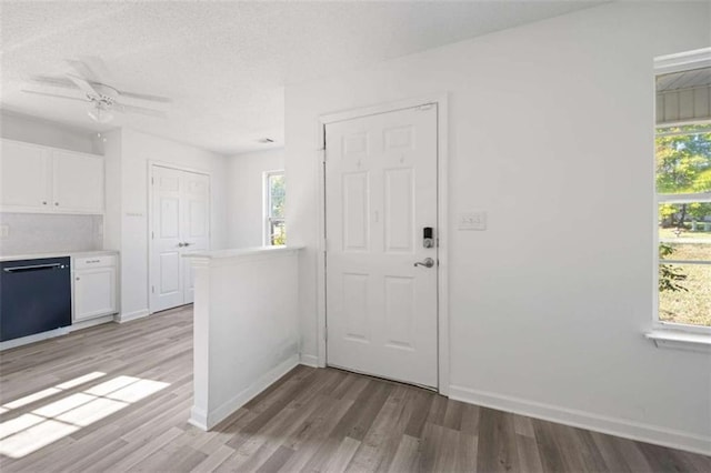 3645 Ten Oaks Cir, Powder Springs, GA 30127 - entryway with light wood finished floors, plenty of natural light, baseboards, a textured ceiling, and ceiling fan