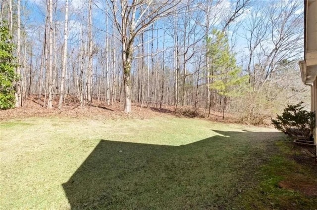 4021 Melvin Dr SW, Atlanta, GA 30331 - view of green lawn