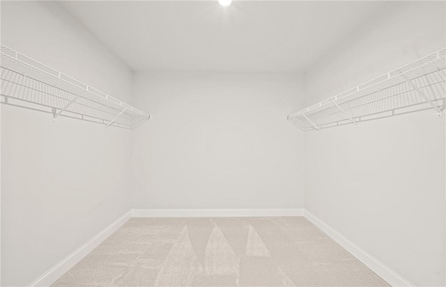 spacious closet featuring carpet