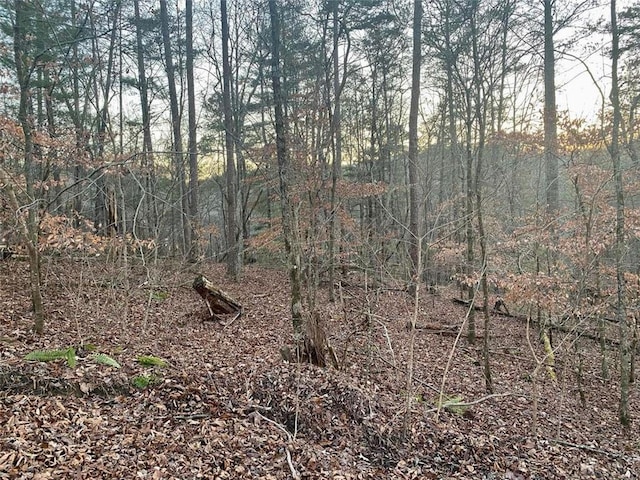 1684 Shade Tree Dr, Talking Rock, GA 30175