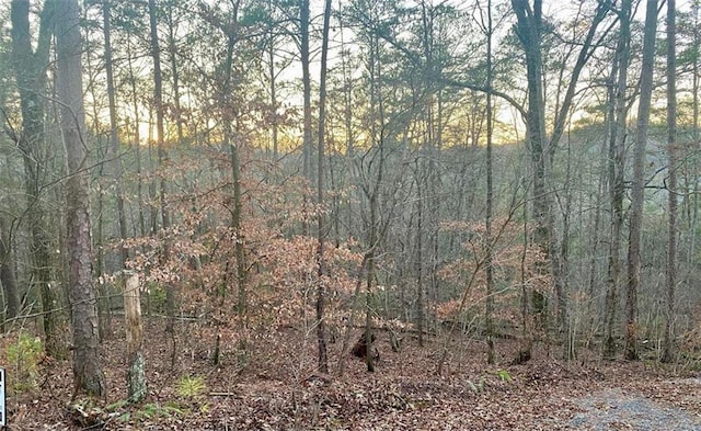1684 Shade Tree Dr, Talking Rock, GA 30175