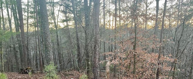 1684 Shade Tree Dr, Talking Rock, GA 30175