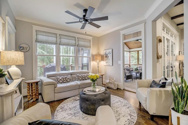 living room with plenty of natural light, dark hardwood / wood-style flooring, and crown molding