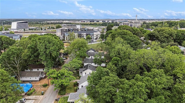 bird's eye view