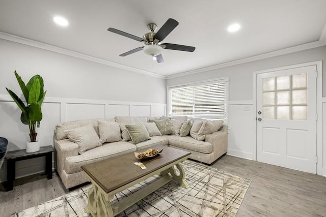 living room with ceiling fan, ornamental molding, and light wood-type flooring