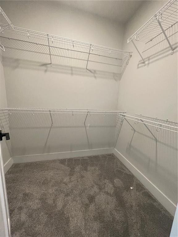 222 Silvercrest Dr, Acworth, GA 30101 - walk in closet with carpet flooring
