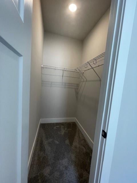 222 Silvercrest Dr, Acworth, GA 30101 - spacious closet featuring carpet floors