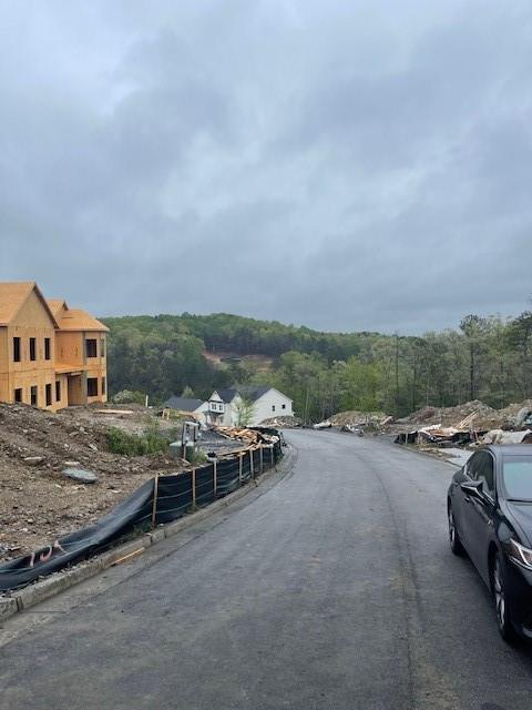 222 Silvercrest Dr, Acworth, GA 30101 - view of asphalt road with curbs