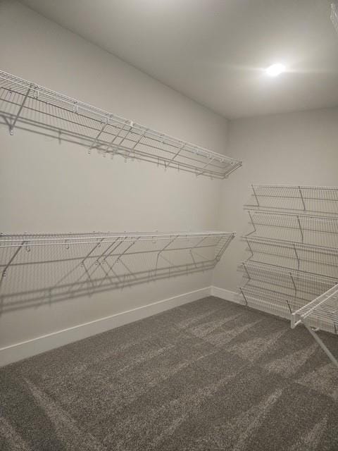 222 Silvercrest Dr, Acworth, GA 30101 - walk in closet with dark colored carpet