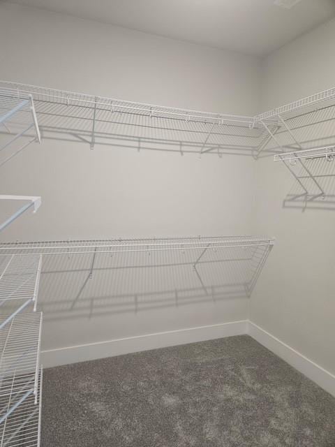 222 Silvercrest Dr, Acworth, GA 30101 - walk in closet with carpet flooring