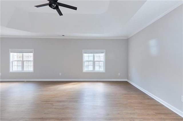 spare room featuring a raised ceiling, a ceiling fan, wood finished floors, and a wealth of natural light