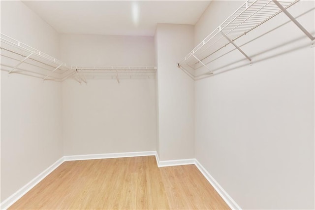 spacious closet with light wood-style floors