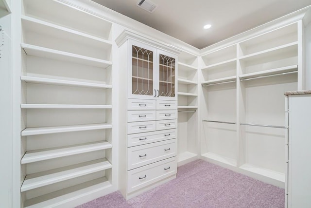 spacious closet with light colored carpet