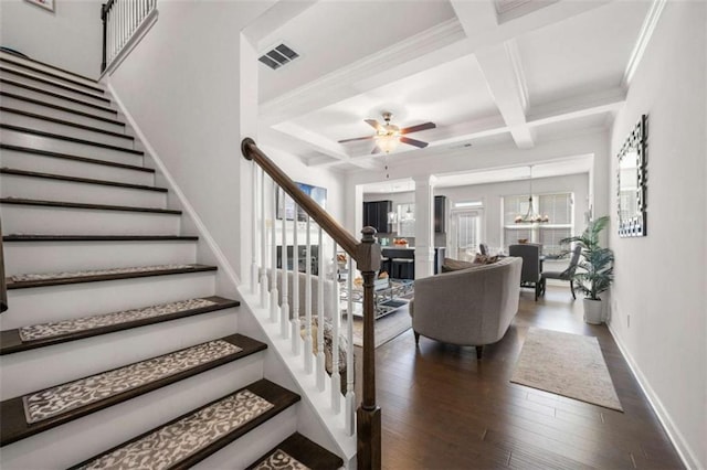 stairs with baseboards, beam ceiling, coffered ceiling, ceiling fan with notable chandelier, and wood finished floors