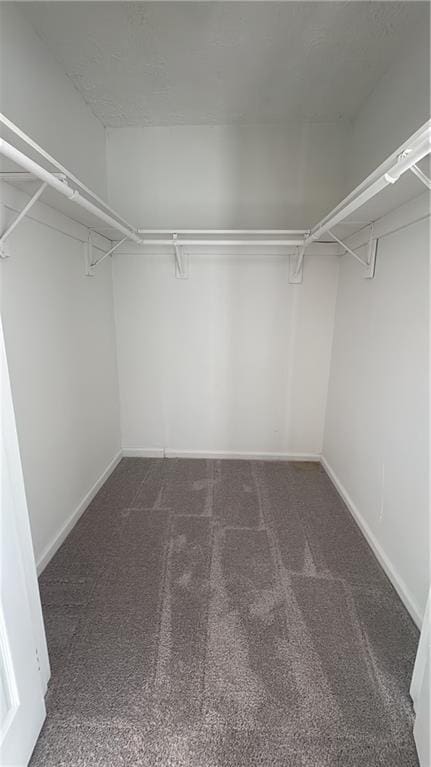 walk in closet featuring dark colored carpet