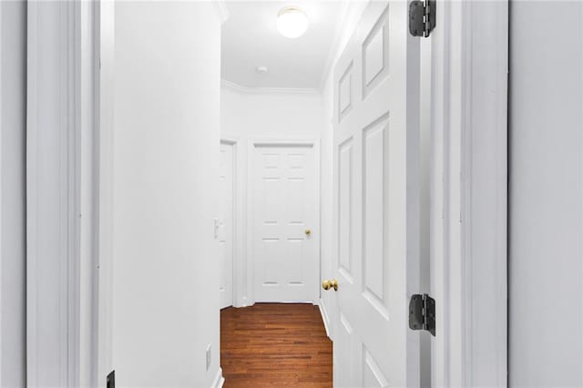 385 Windermere Cir, Newnan, GA 30265 - hallway with dark wood-type flooring and ornamental molding