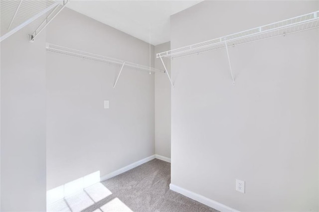 spacious closet featuring light carpet