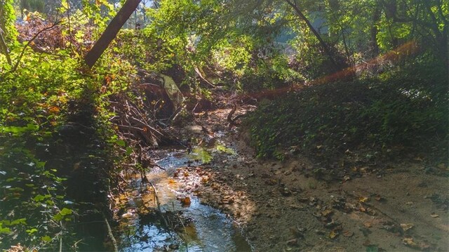 view of nature with a water view