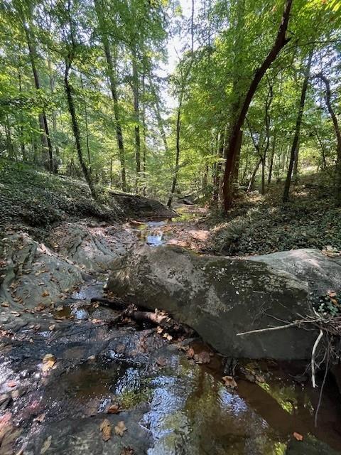 view of nature featuring a water view