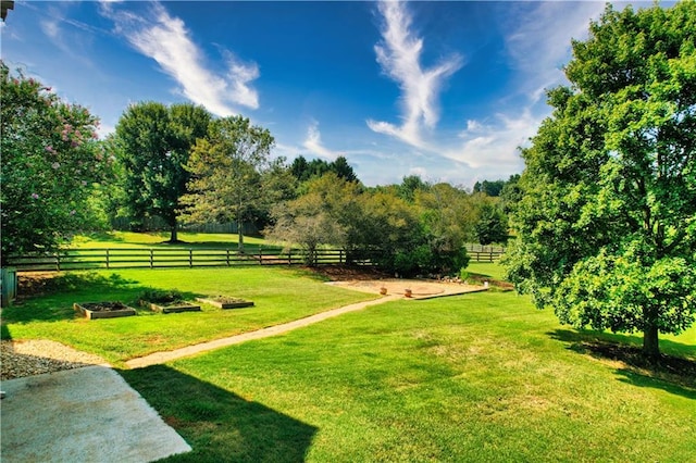 view of community with a rural view and a yard