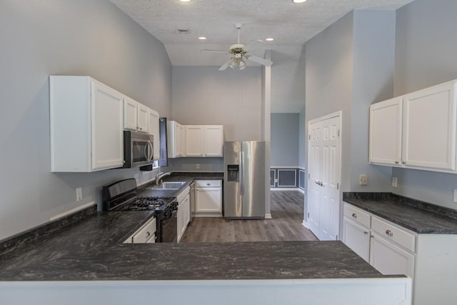 706 Hillmont Dr, Loganville, GA 30052 - kitchen with appliances with stainless steel finishes, high vaulted ceiling, a ceiling fan, wood finished floors, and a textured ceiling