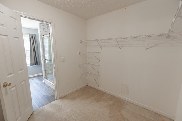 706 Hillmont Dr, Loganville, GA 30052 - walk in closet with light carpet