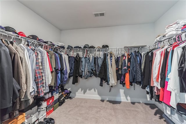 spacious closet featuring carpet flooring