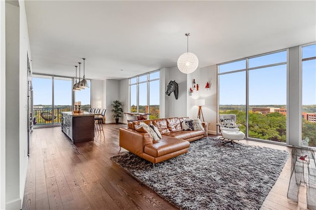 living room with expansive windows, a wealth of natural light, and dark hardwood / wood-style floors