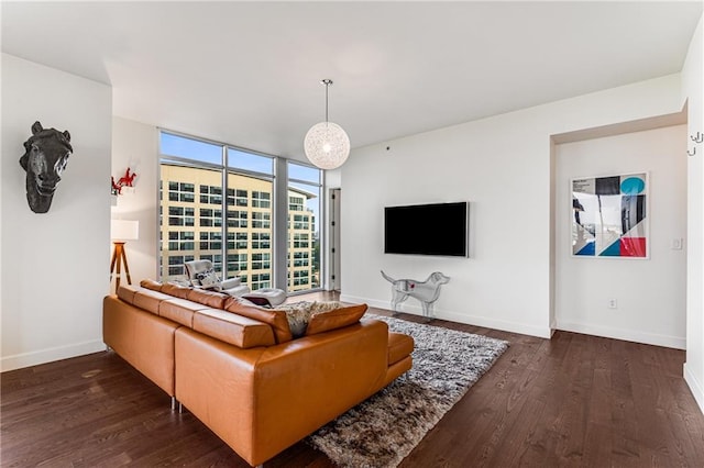 living room featuring dark hardwood / wood-style floors