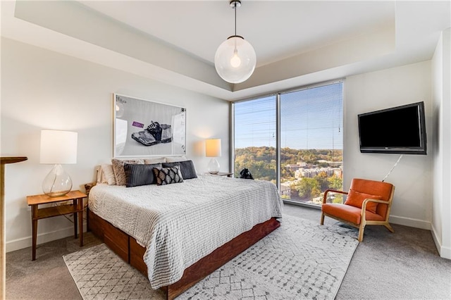 carpeted bedroom with a tray ceiling