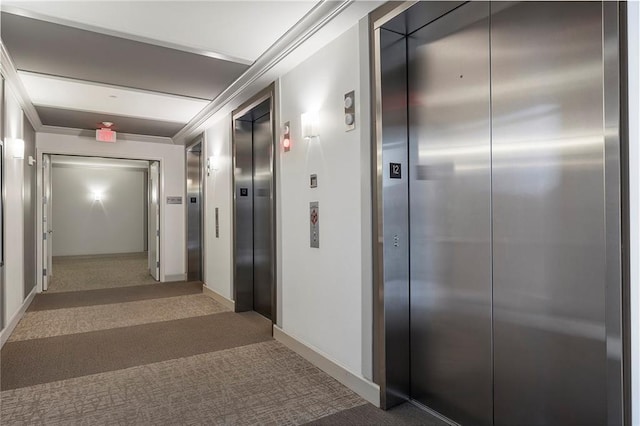 hall featuring elevator, carpet flooring, and ornamental molding