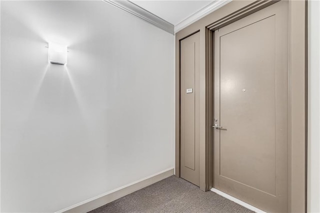 interior space featuring carpet flooring and ornamental molding