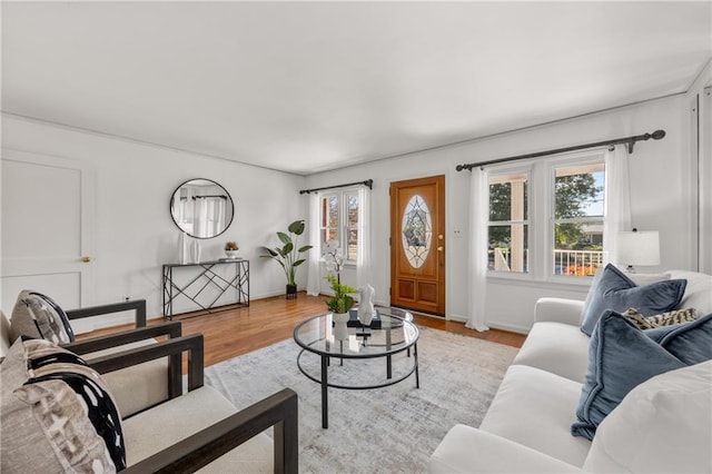 living room with a healthy amount of sunlight and light wood-type flooring