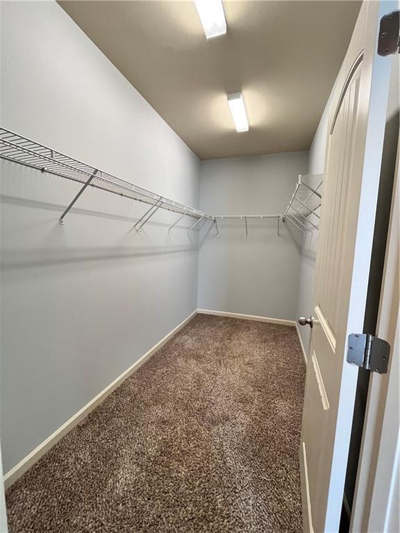 spacious closet with carpet floors