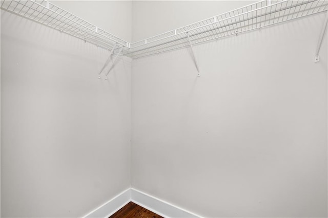 spacious closet featuring hardwood / wood-style floors