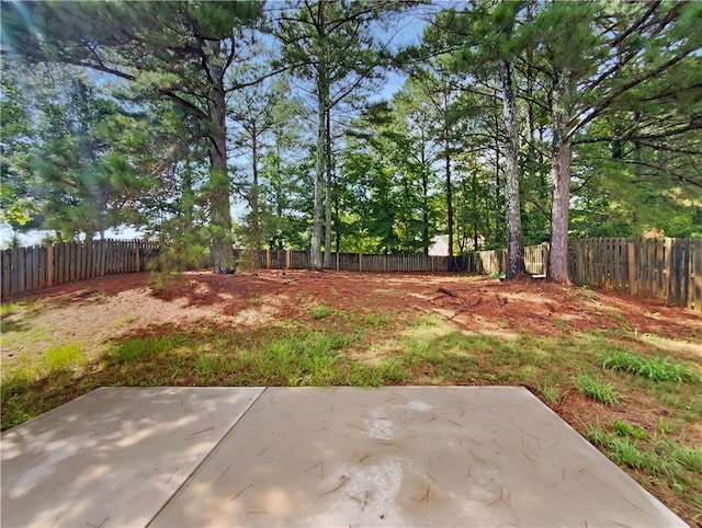 view of yard featuring a patio