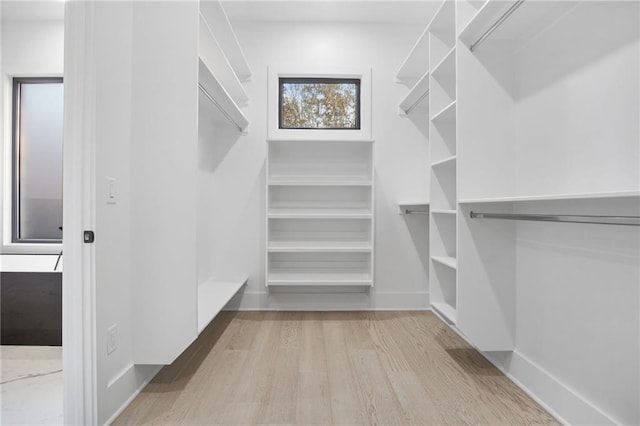 spacious closet with light hardwood / wood-style floors