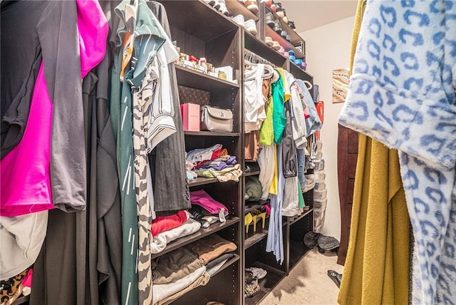 2909 Emme Ct, Conyers, GA 30094 - view of spacious closet