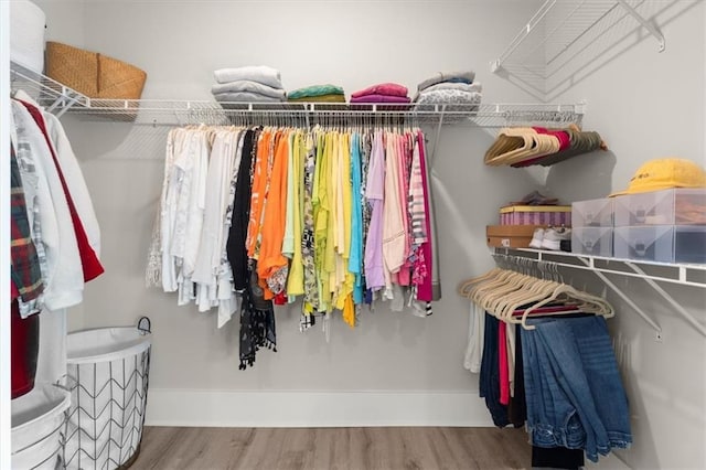 walk in closet featuring wood finished floors