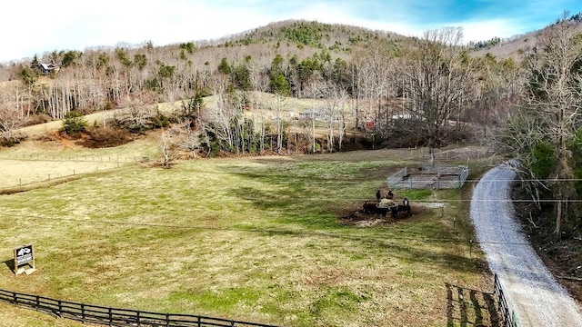 00 Owltown Rd, Blairsville GA, 30512 land for sale