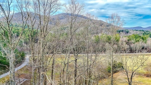 Listing photo 3 for 00 Owltown Rd, Blairsville GA 30512