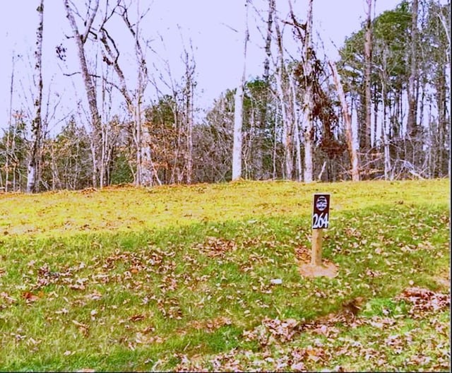 Listing photo 2 for LOT264 Riverview Trl, Ellijay GA 30540