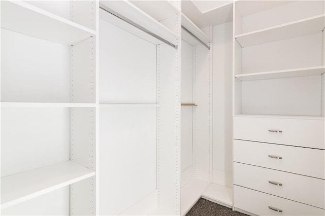 walk in closet featuring carpet flooring