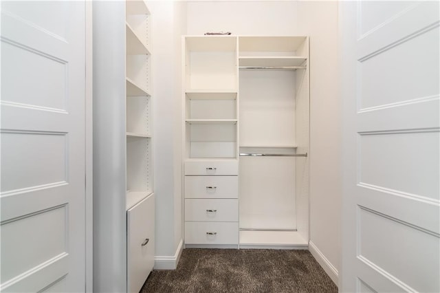 walk in closet with dark carpet