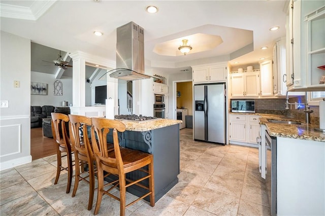 231 Gordon Rd, Cedartown, GA 30125 - kitchen featuring appliances with stainless steel finishes, island range hood, light stone countertops, ceiling fan, and a raised ceiling