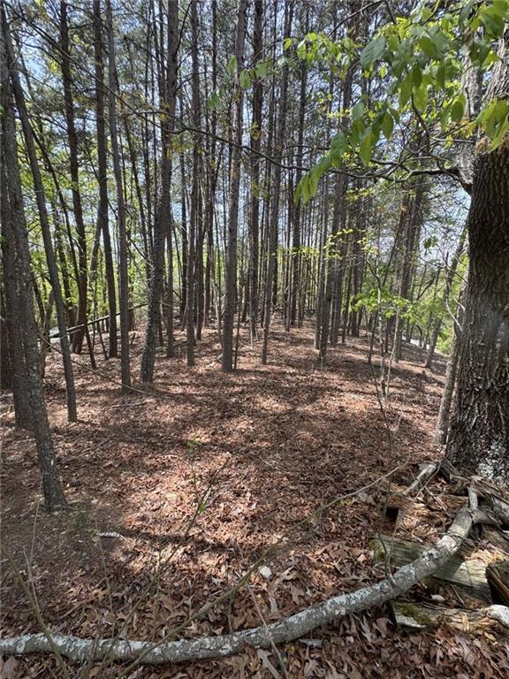 7150 Collins Point Rd, Cumming, GA 30041