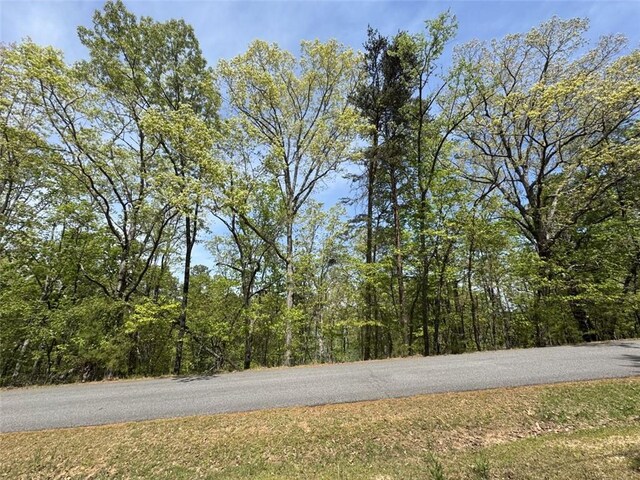 7150 Collins Point Rd, Cumming, GA 30041